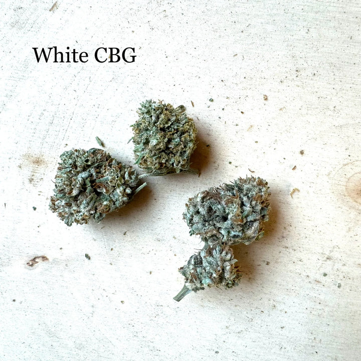 White CBG
